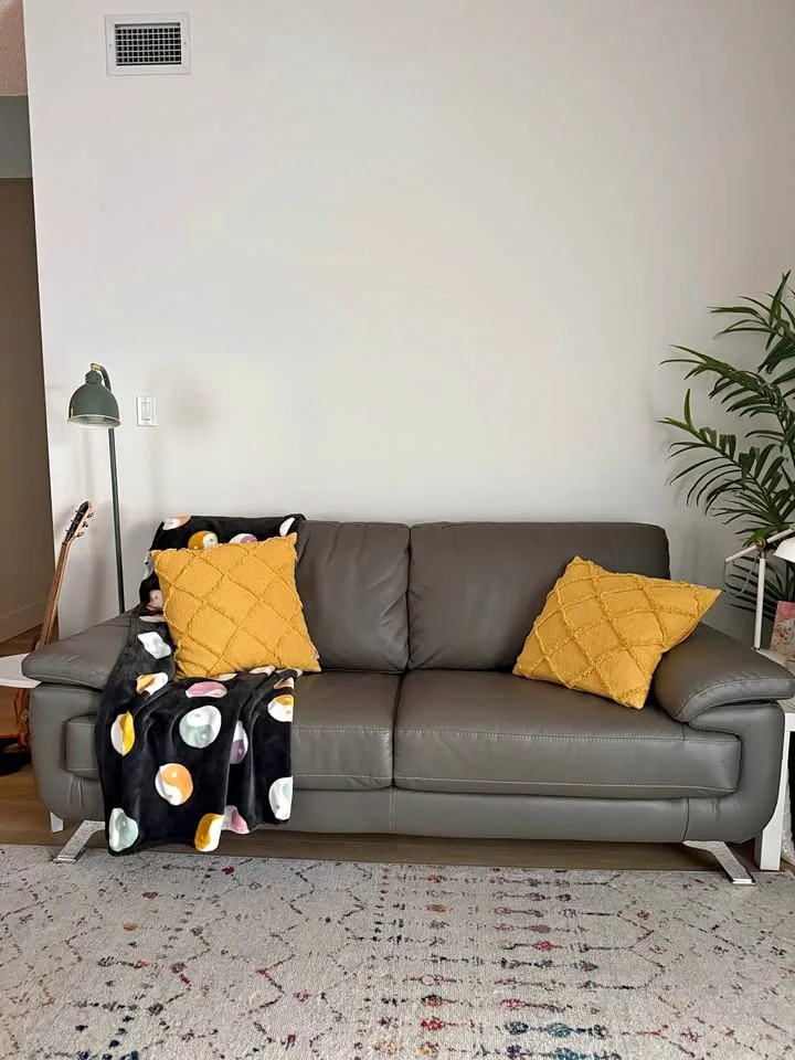 Grey Modern Couch