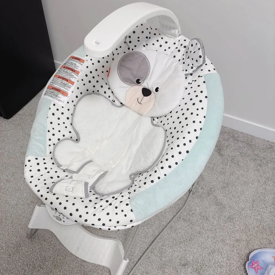 Fisher Price deluxe bouncer #CleanOut image indicator(2)