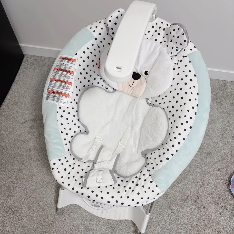 Fisher Price deluxe bouncer #CleanOut image indicator(3)