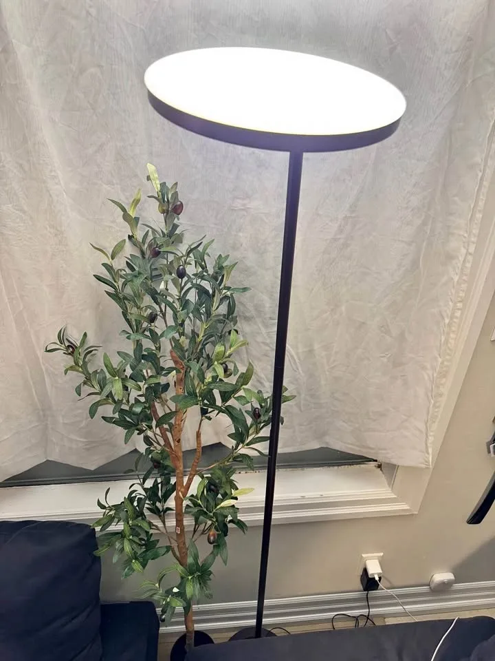 36W LED Floor Lamp, Super Bright Standing