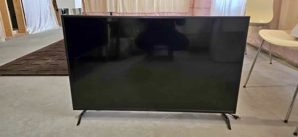 Insignia Roku TV - 43"