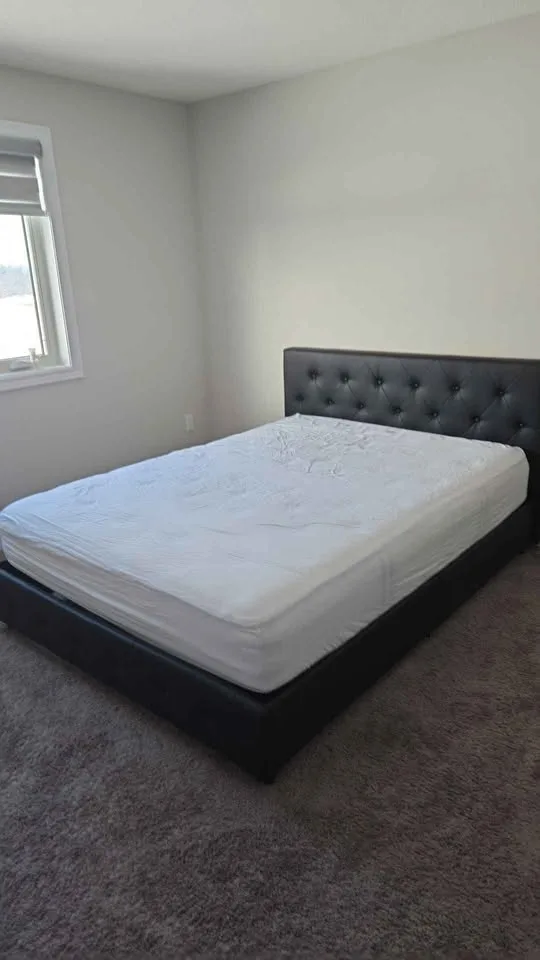 Queen size Black Faux Leather Bedframe and Mattress image indicator(3)