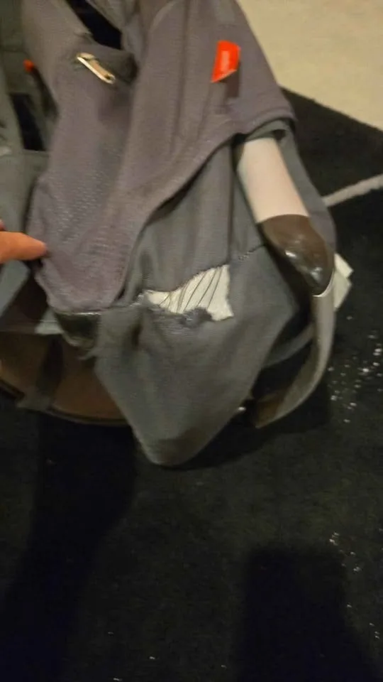 Phil & Teds Hiking Baby carrier image indicator(4)