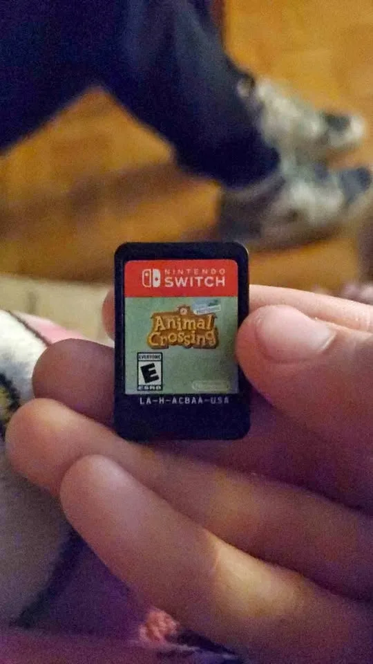 Animal crossing new horizon