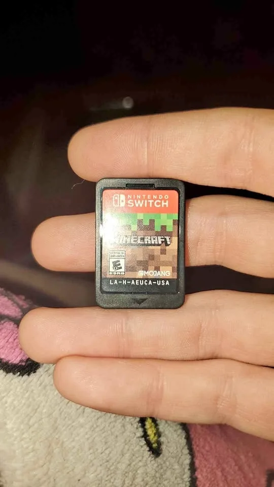 Minecraft Nintendo switch