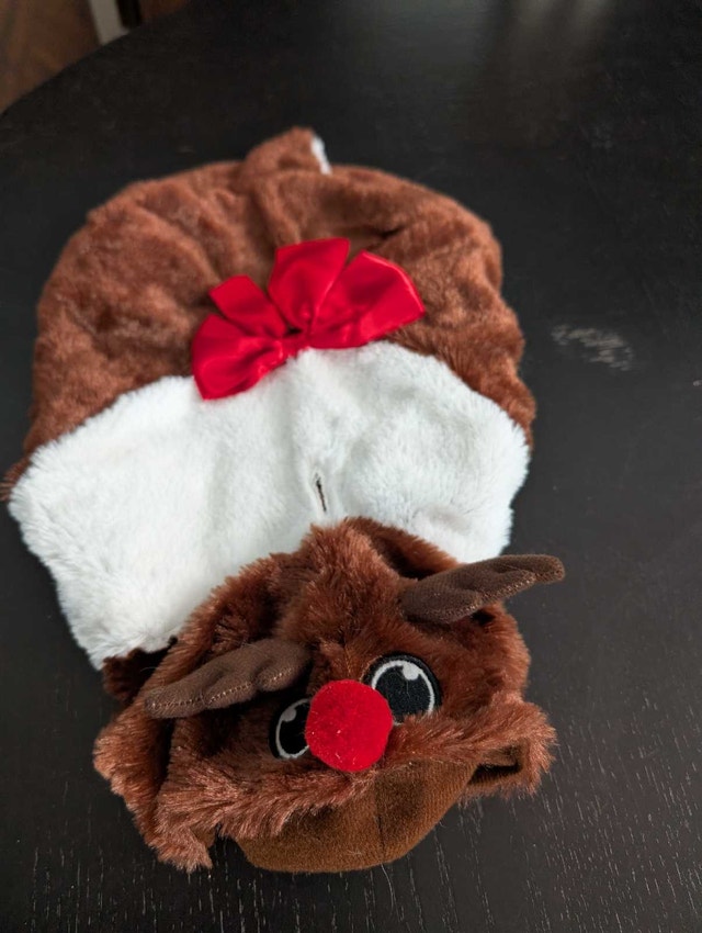 Pet Costume Small