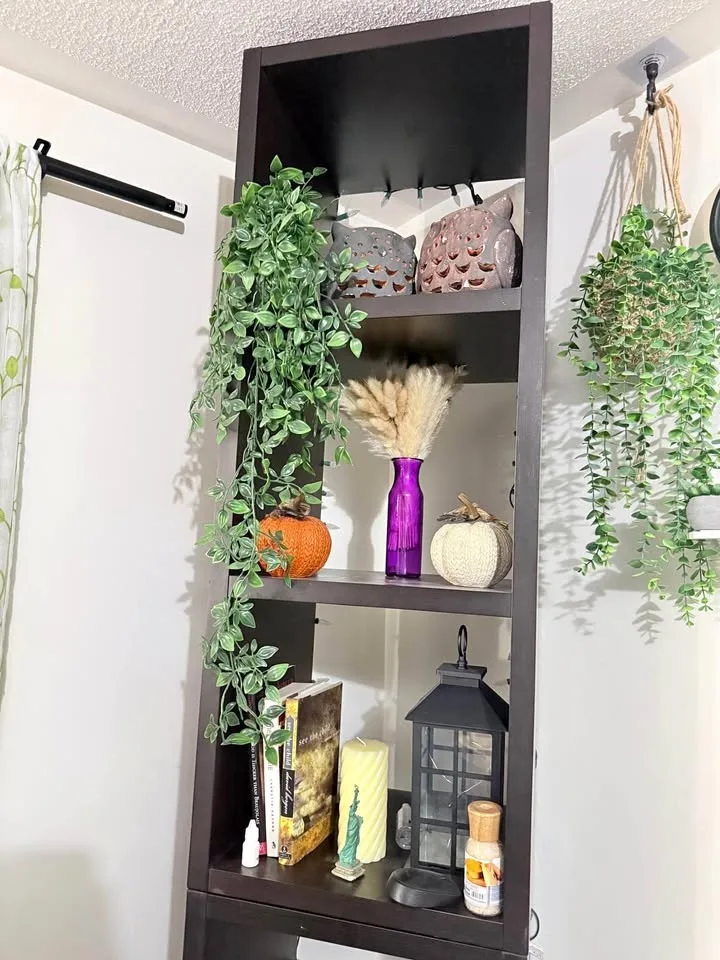 Modern Storage Shelf / Book Shelf