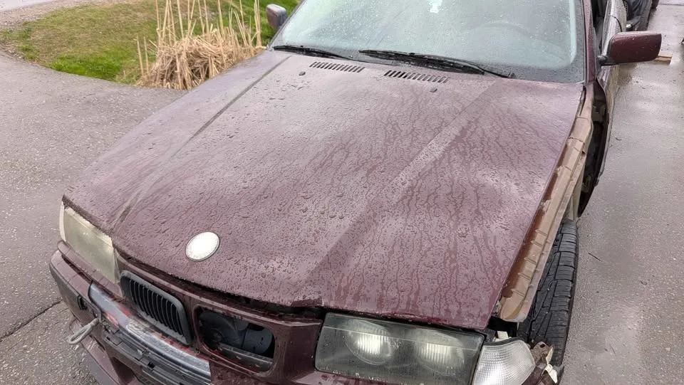 1998 BMW 3 Series image indicator(7)