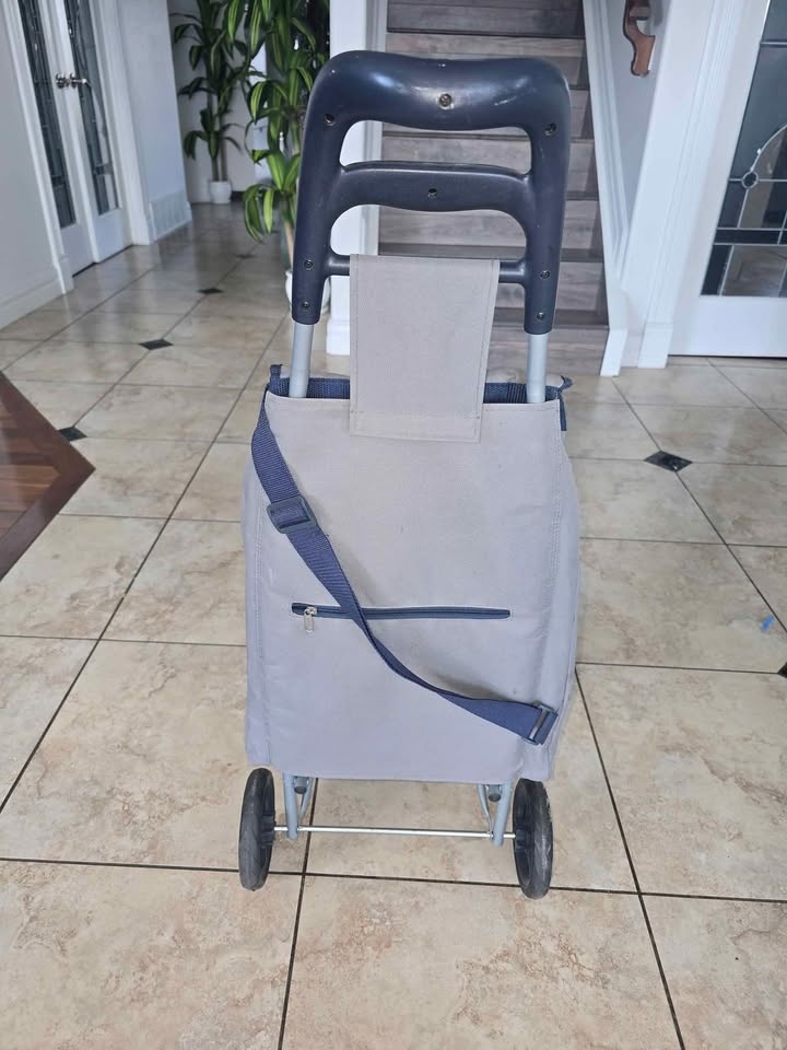 Shopping cart - photo 3