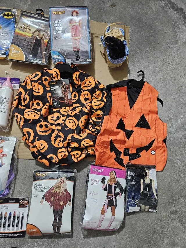 Halloween Costumes image indicator(2)