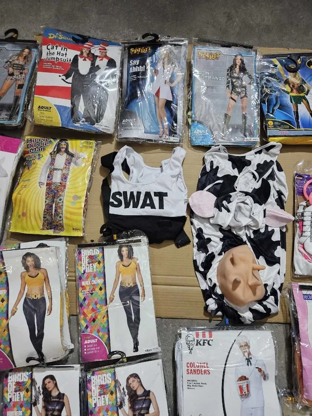 Halloween Costumes image indicator(3)