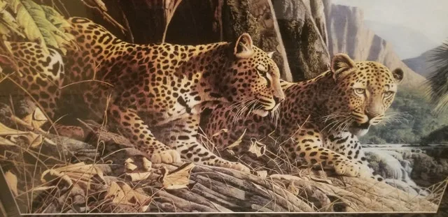 Leopard Print image indicator(3)