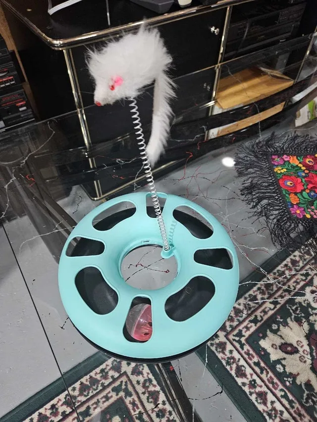 Interactive Cat Toy with Circular Track image indicator(3)