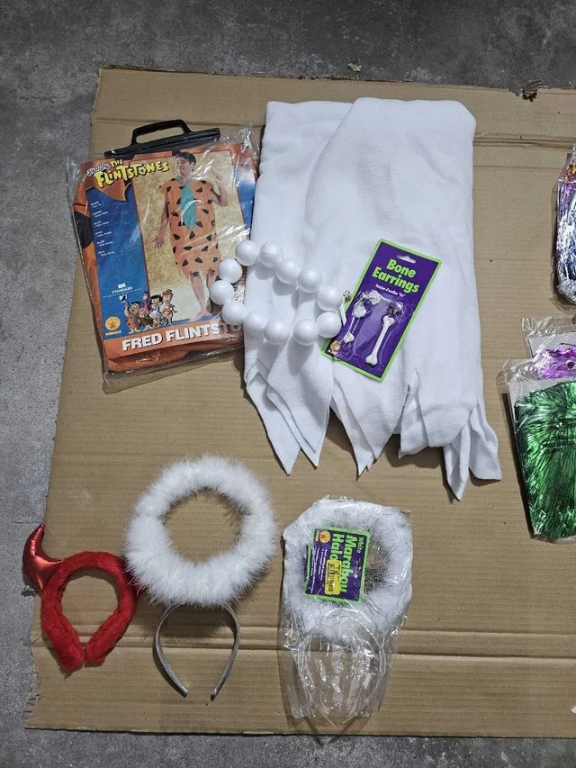 Halloween Costumes and Accessories image indicator(4)