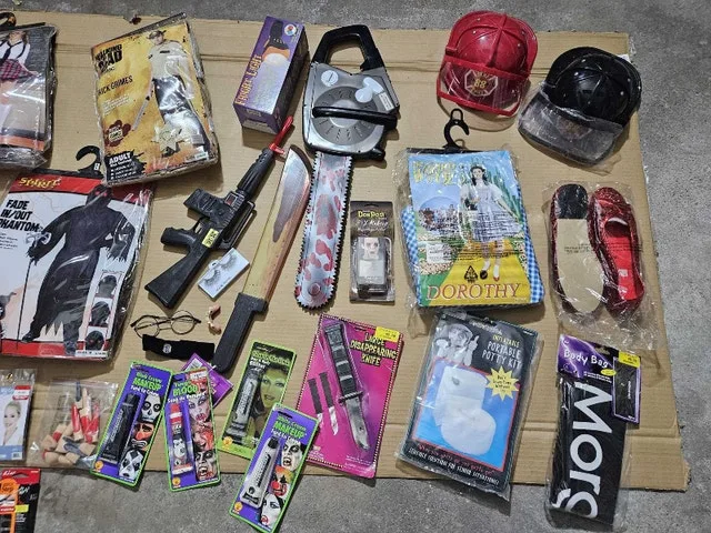 Halloween Costumes and Accessories image indicator(7)