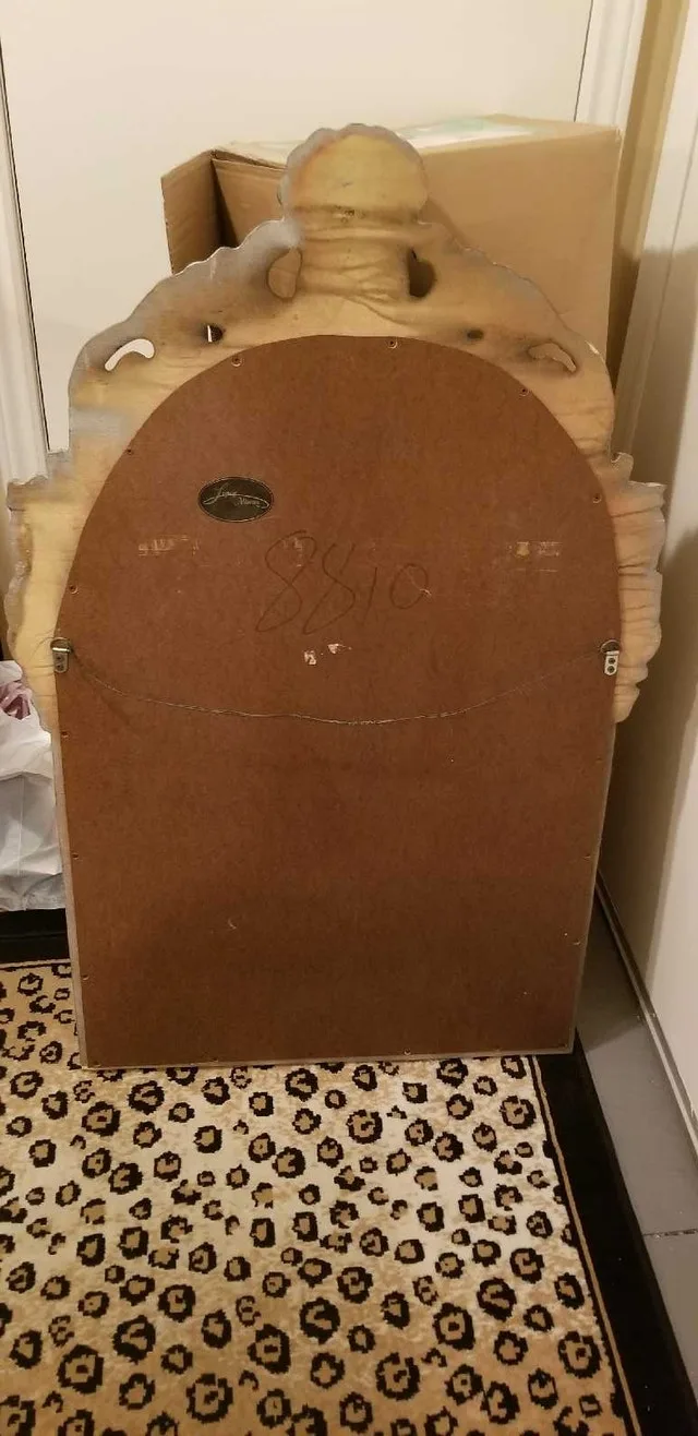 Large Beautiful Mirror image indicator(2)