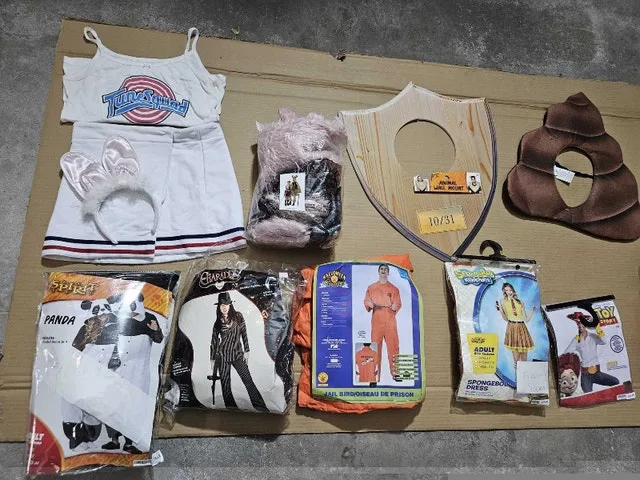 Halloween Costumes image indicator(2)