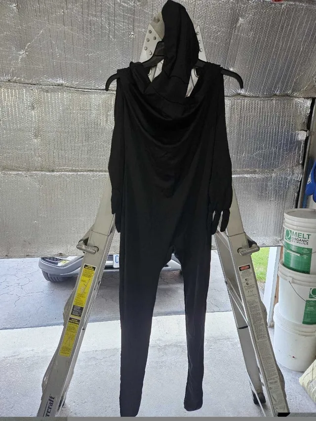 Halloween Costumes image indicator(6)