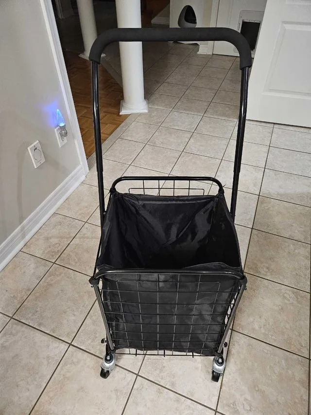 Shopping Cart with Liner