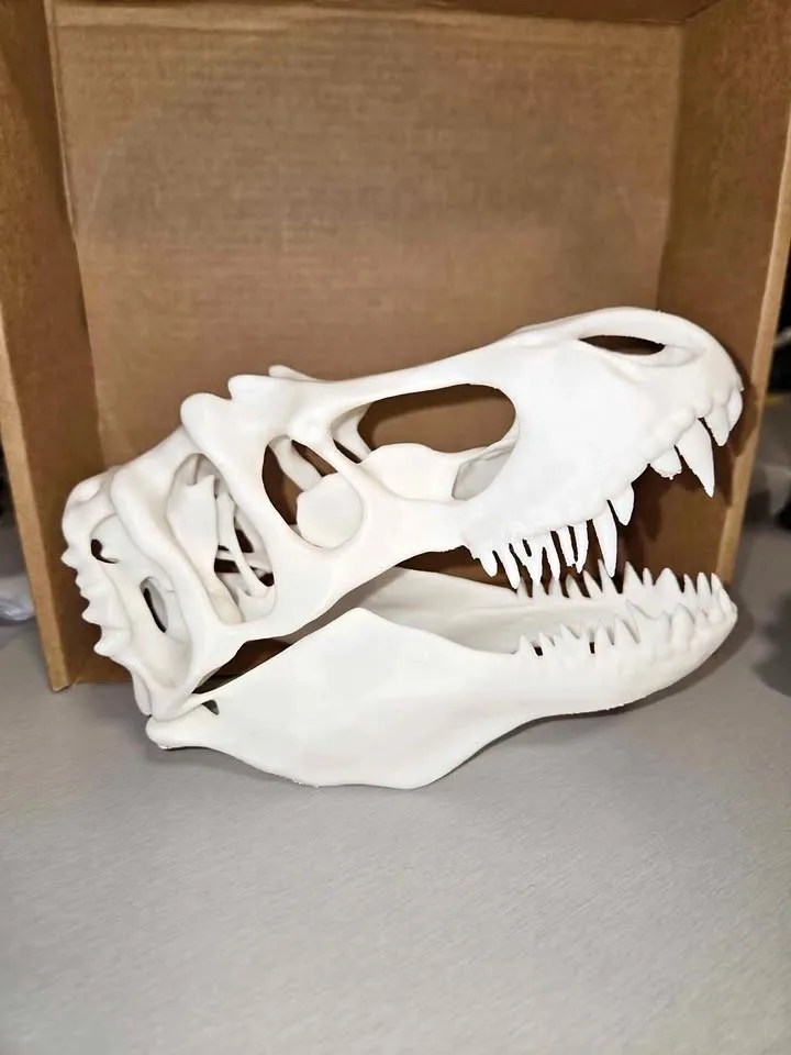 Dinosaur skull