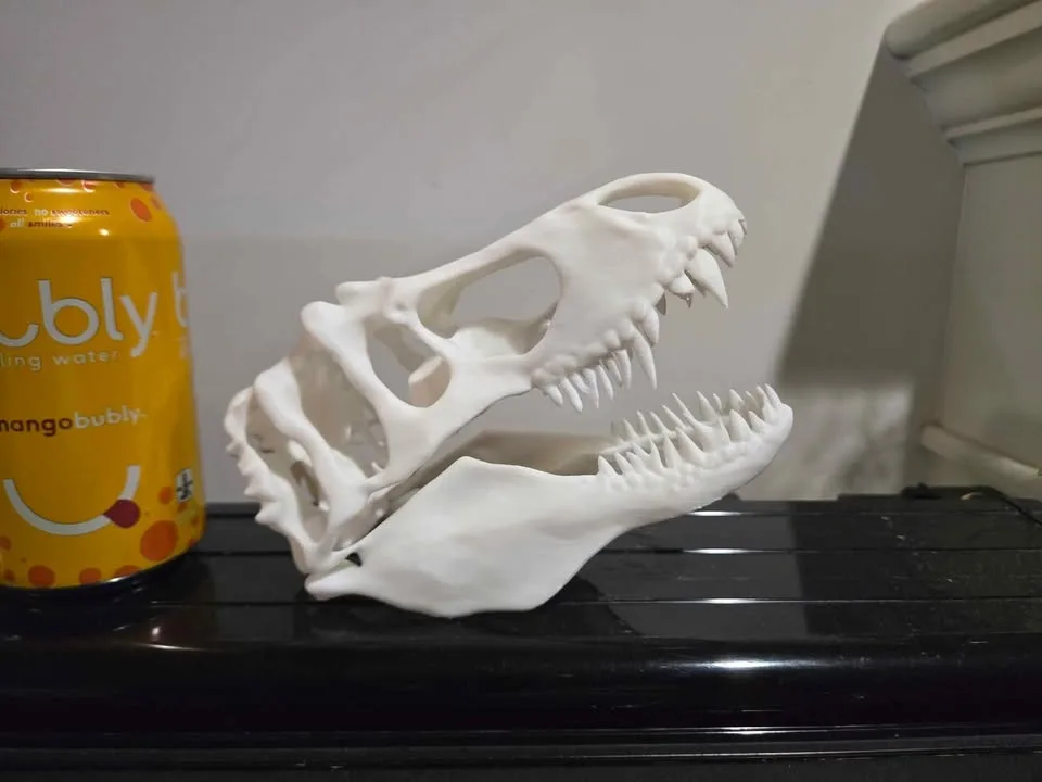 Dinosaur skull image indicator(2)