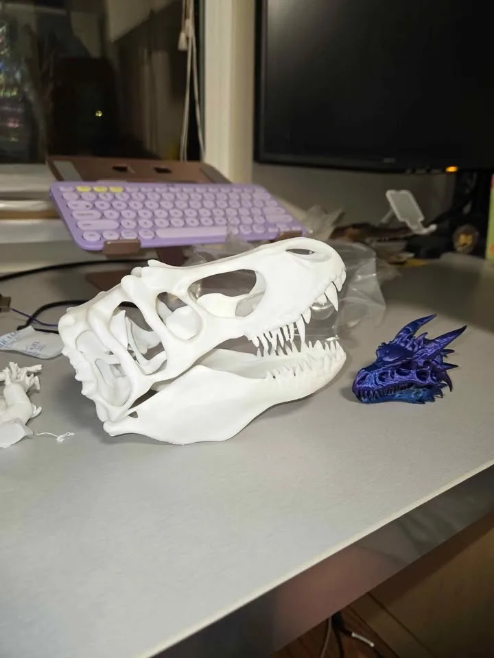 Dinosaur skull image indicator(3)