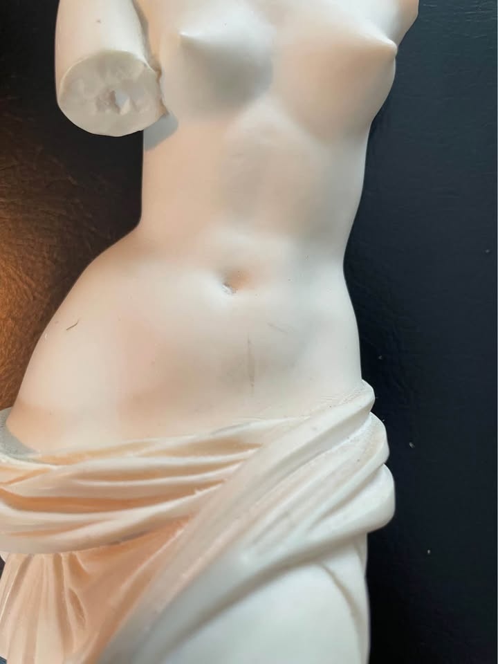 Italian Marble Venus de Milo Sculpture by A Giannelli - photo 5