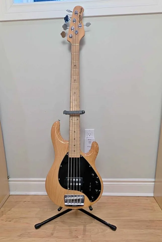 Sterling Ray 35 Music Man 5 String Bass w/ Gig Bag