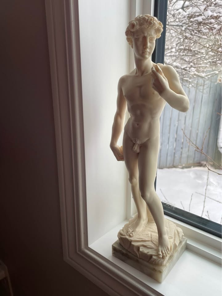 Michelangelo’s Statue of David by A Giannelli - photo 2