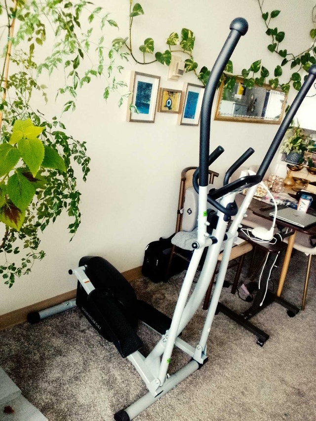 Weslo Momentum G 4.1 Exercise Equipment - photo 2