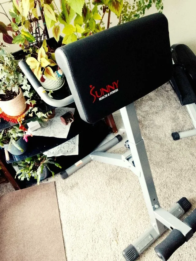 Sunny Health and Fitness Back and Tummy Strengthing Equipment