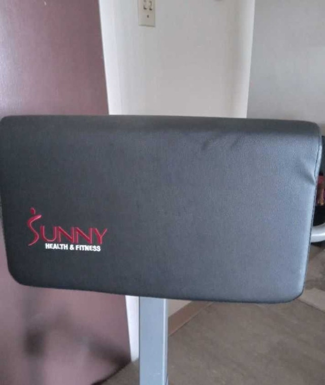 Sunny Health and Fitness Back and Tummy Strengthing Equipment - photo 2