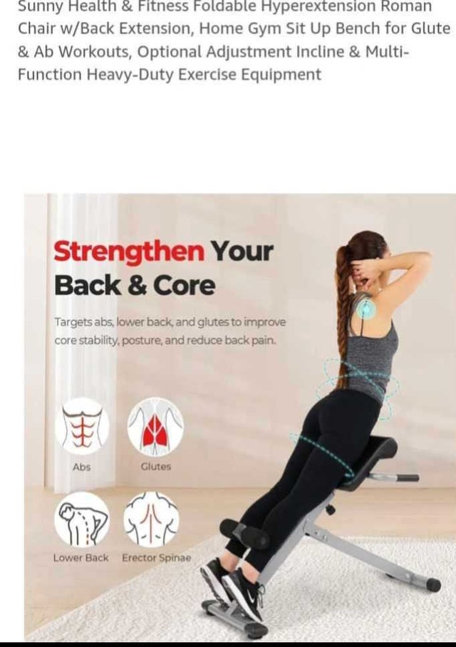 Sunny Health and Fitness Back and Tummy Strengthing Equipment - photo 4