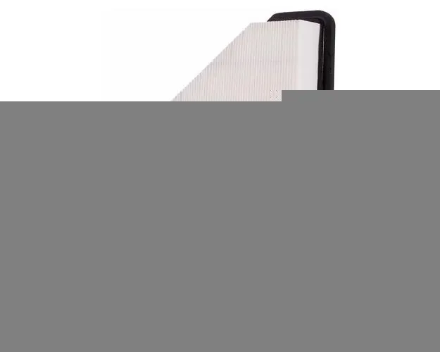 PRONTO PA6131 Air Filter for GMC Terrain, Chevrolet Equinox image indicator(4)