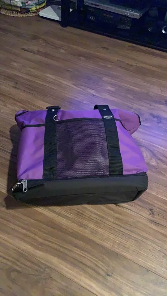 Travel/dance bag - photo 3
