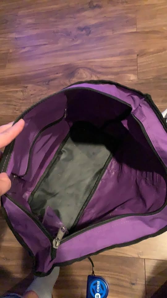 Travel/dance bag - photo 4