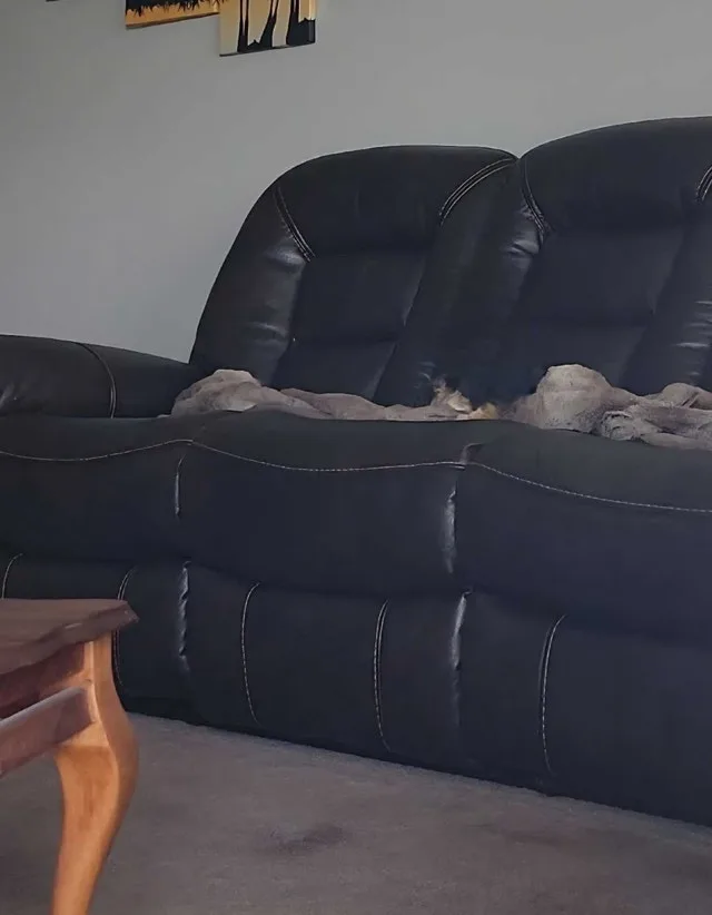 3 Seater Recliner Couch image indicator(2)