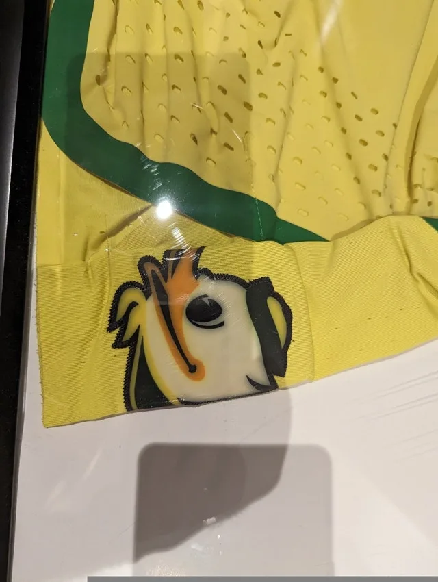 Chris Boucher Oregon Ducks Basketball Shorts image indicator(2)