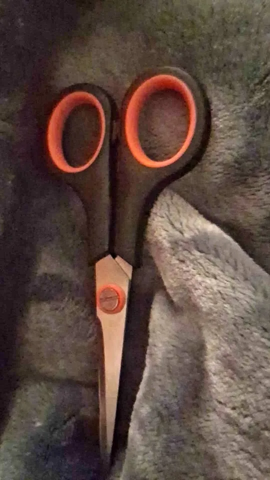 Craft scissors