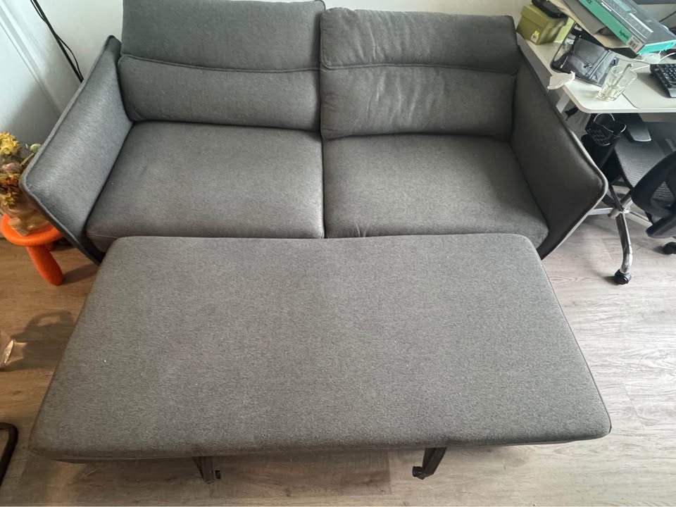 Move Out Sale Sofa Bed - photo 3