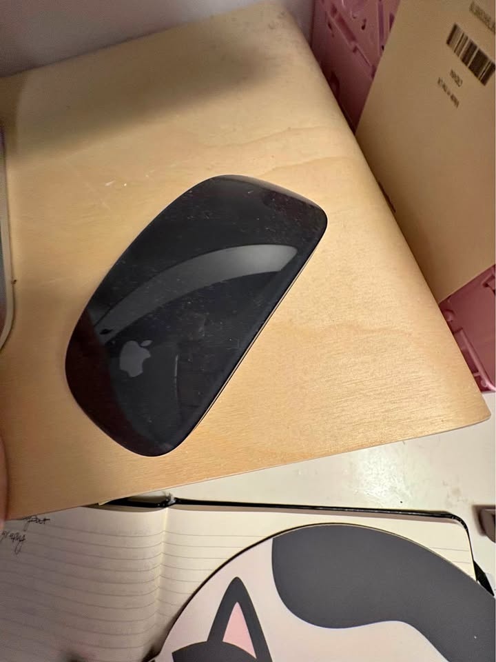 Apple Magic Mouse