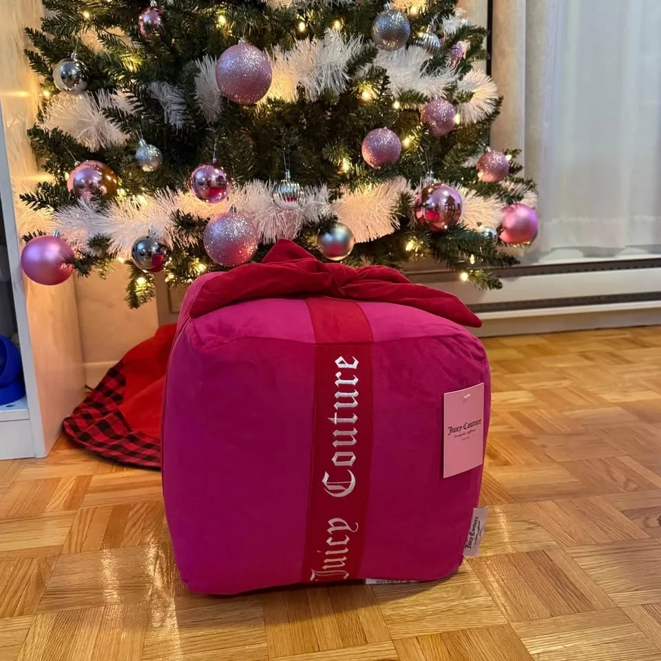 JUICY COUTURE PRESENT GIFT PILLOW RARE!!! image indicator(2)