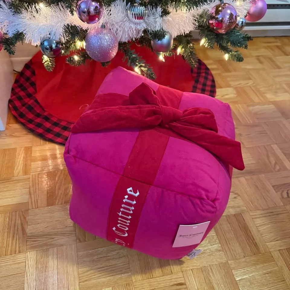JUICY COUTURE PRESENT GIFT PILLOW RARE!!! image indicator(3)