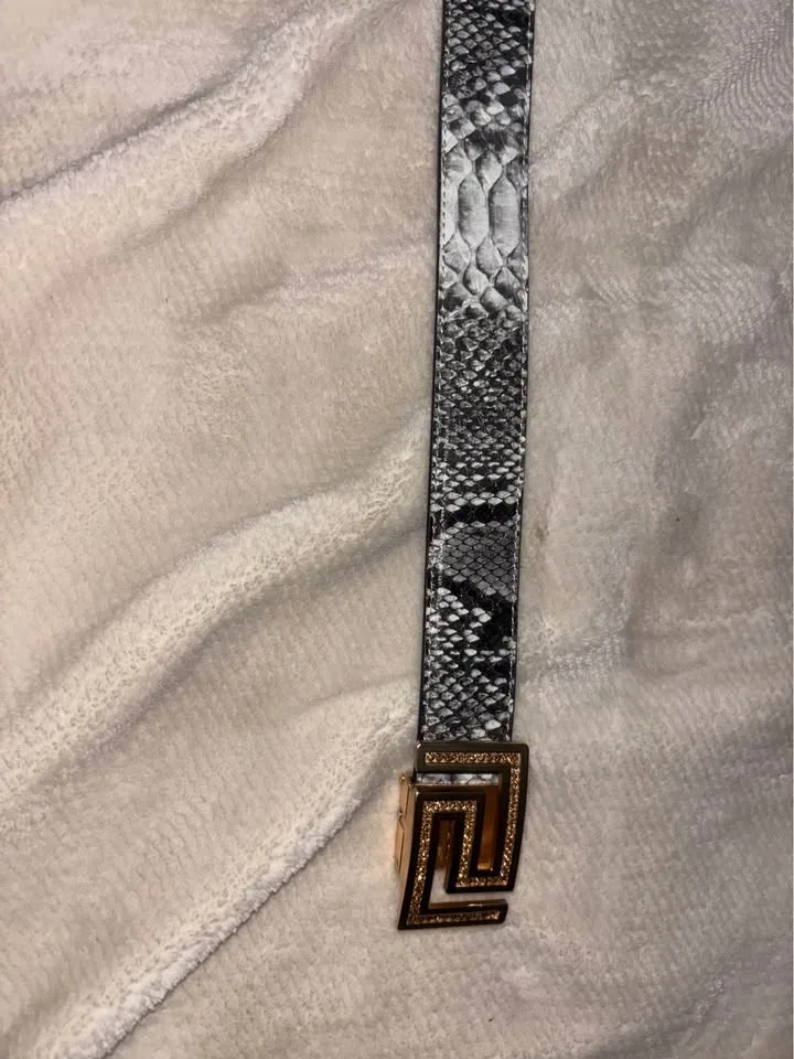 Belt image indicator(4)