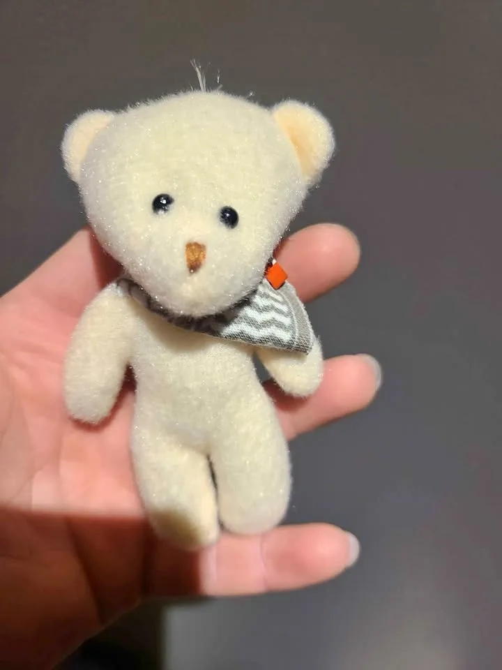 Palestinian bear keychain