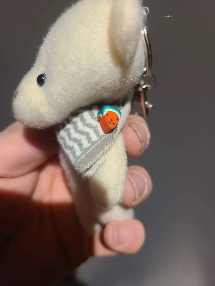 Palestinian bear keychain image indicator(2)