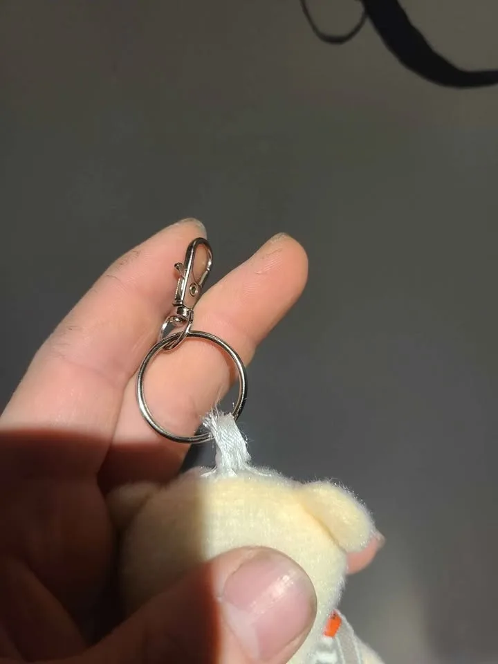 Palestinian bear keychain image indicator(4)