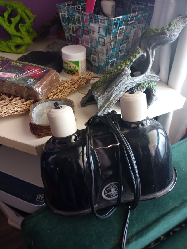 Dream Dealll!!! Aquariums and Accessories ALL FOR $120 - photo 2