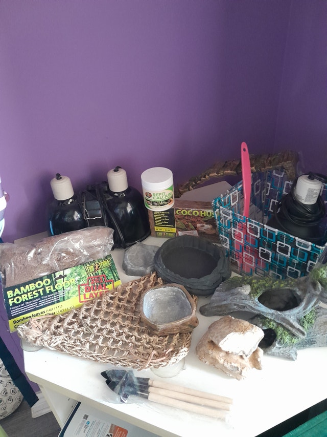 Dream Dealll!!! Aquariums and Accessories ALL FOR $120 - photo 3