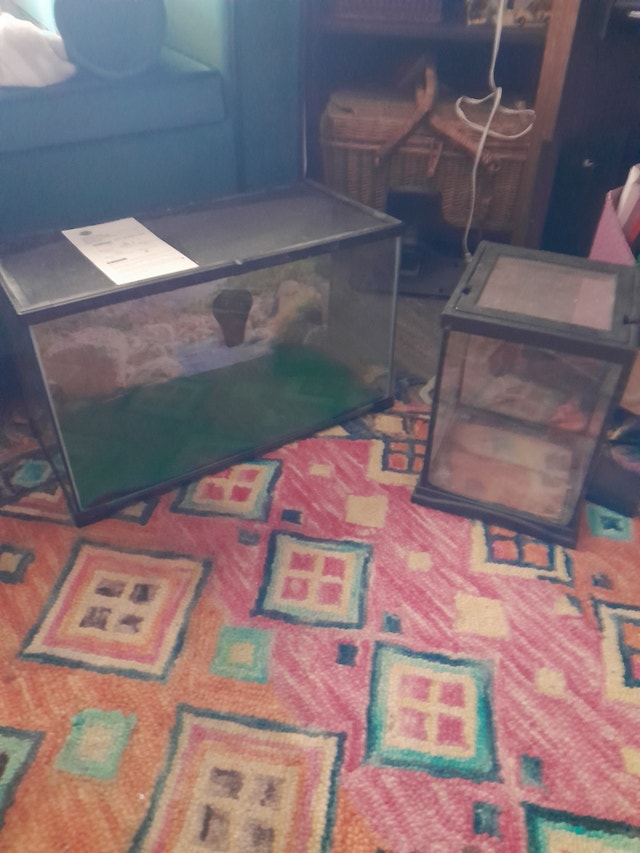 **DREAM DEAL!! **AQUARIUMS AND ACCESSORIES !!! - photo 4